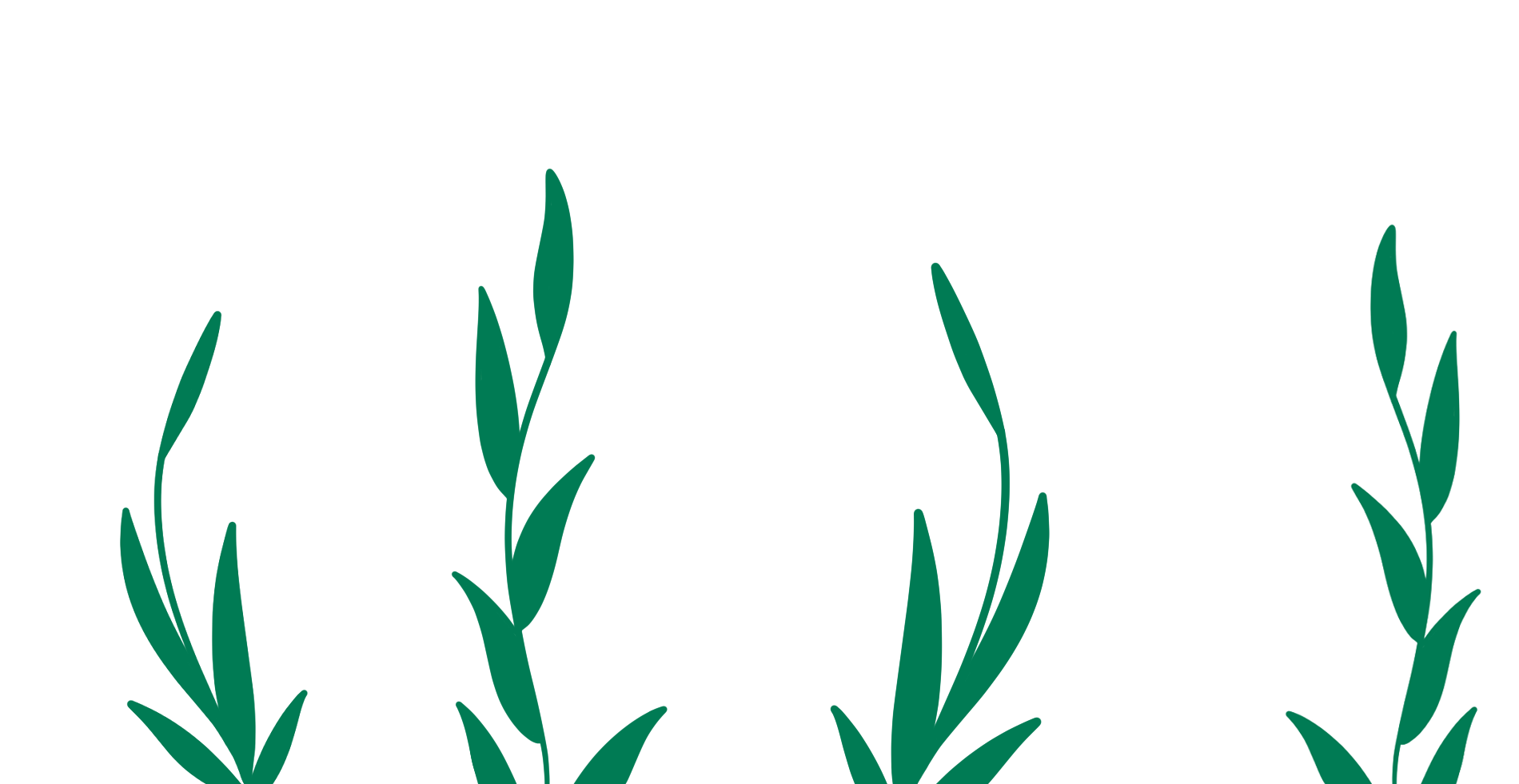 WITH ME plantitas THUNKABLE